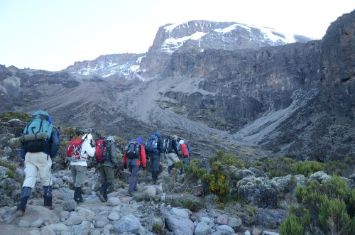 Kilimanjaro Machame Route
