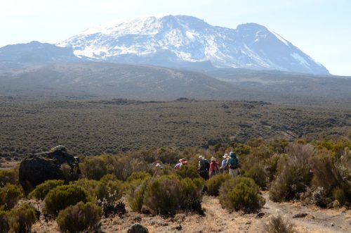 Kilimanjaro Lemosho Route