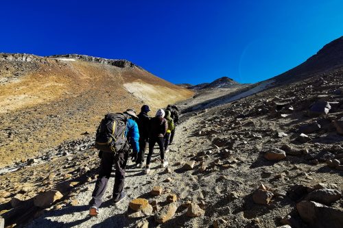 Active Chile