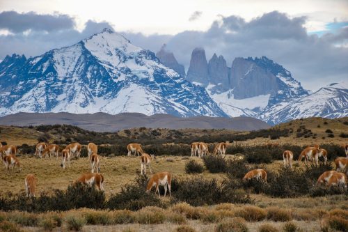 Active Chile