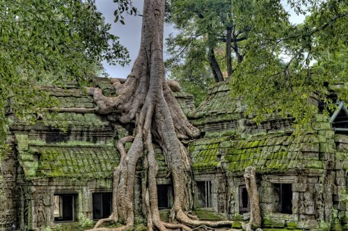 Ankor Wat Extension