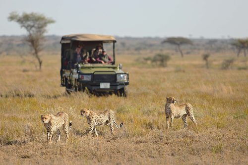 Luxury Tanzania and Kenya Safari