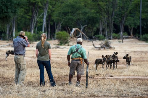 Zimbabwe and Botswana Safari
