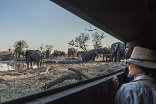 Zimbabwe and Botswana Safari