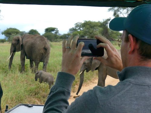 Classic Tanzania Safari