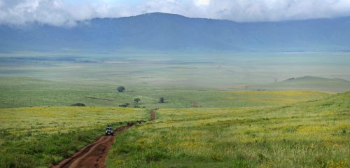 Serengeti and Silverbacks: Best of Tanzania and Rwanda