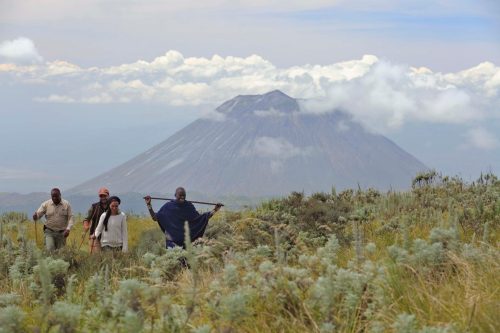Luxury Tanzania and Kenya Safari