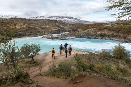 Wild Chile