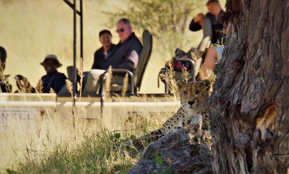 Zimbabwe Conservation Safari
