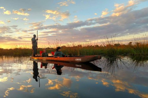 Zimbabwe and Botswana Safari