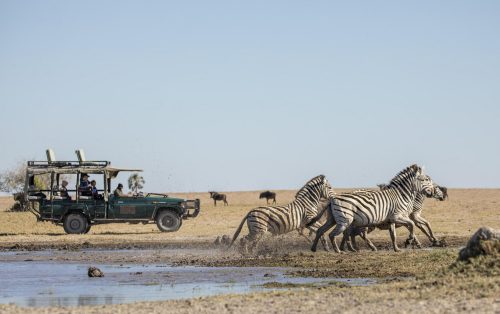 Mokoros and Meerkats Safari