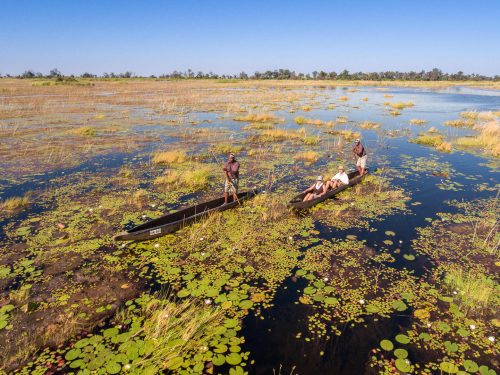Okavango Delta Safari