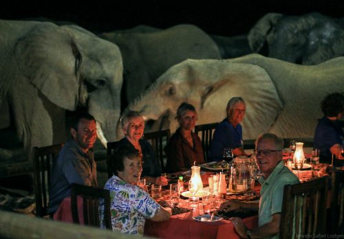 Zimbabwe Conservation Safari