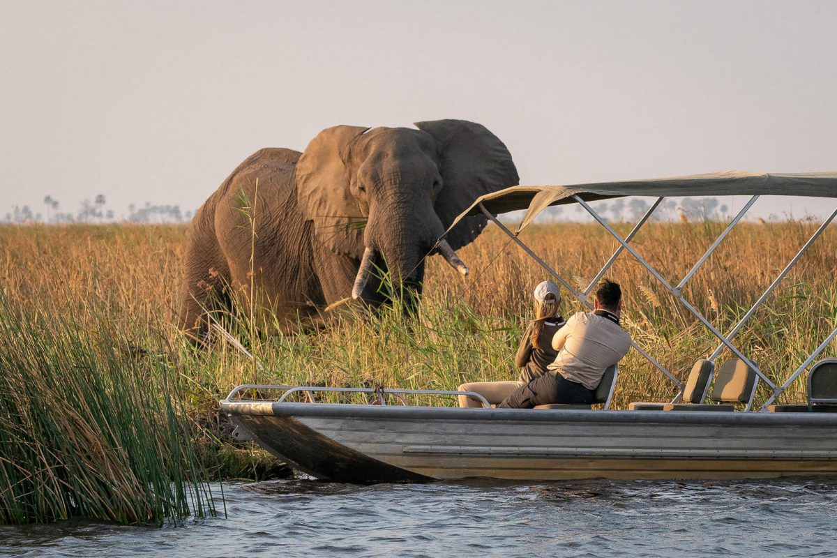 Zimbabwe and Botswana Safari