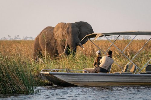 Zimbabwe and Botswana Safari