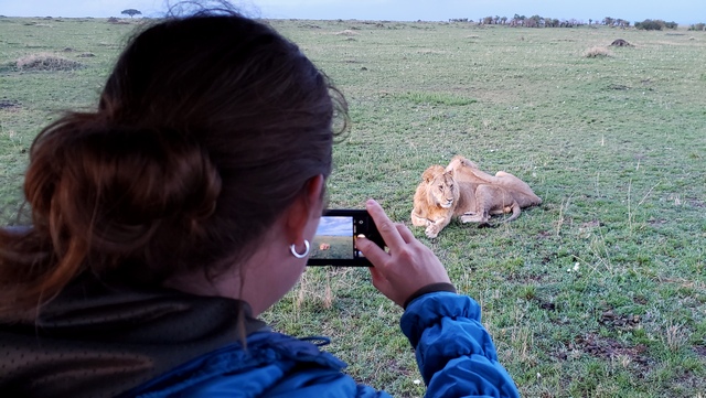 photographing_lion