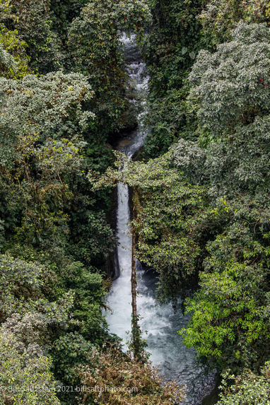 waterfall plunging down through steep forested terrain in the Ecuadorian cloud forest