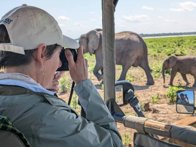A guest watches a mother elephant and her baby parade by during a game drive on a luxury safari from Roho ya Selous Camp in Nyerere National Park (the Selous) Tanzania