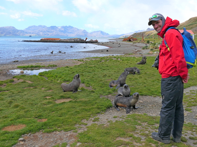 a man smiling next to baby fur seal pups at Grytviken, South Georgia Island