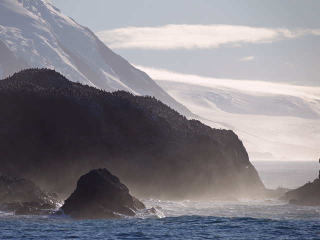 View of massive penguin colonies next to the ocean, with huge glaciers in the background, at Point Wild on Elephant Island Antarctica