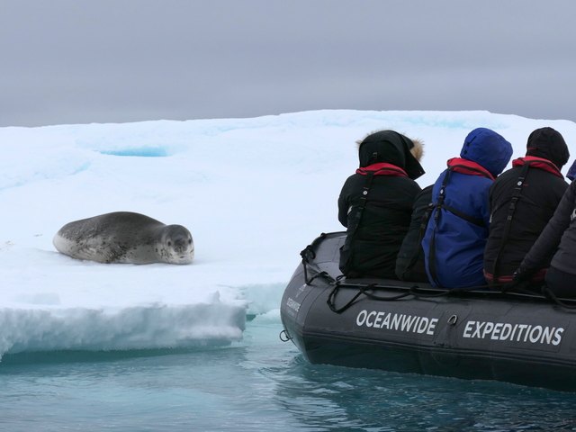 a leopard seal on an iceberg with a zodiac boat from oceanwide expeditions next to it