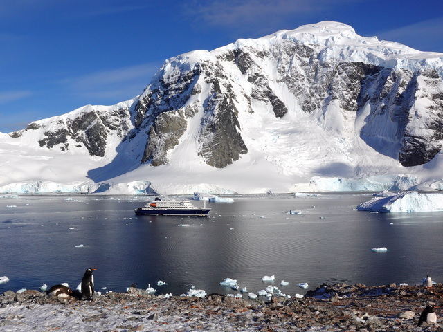 a few gentoo penguins looking out at glaciated peaks and a cruise ship from the penguin rookery at Danco Island, Antarctica