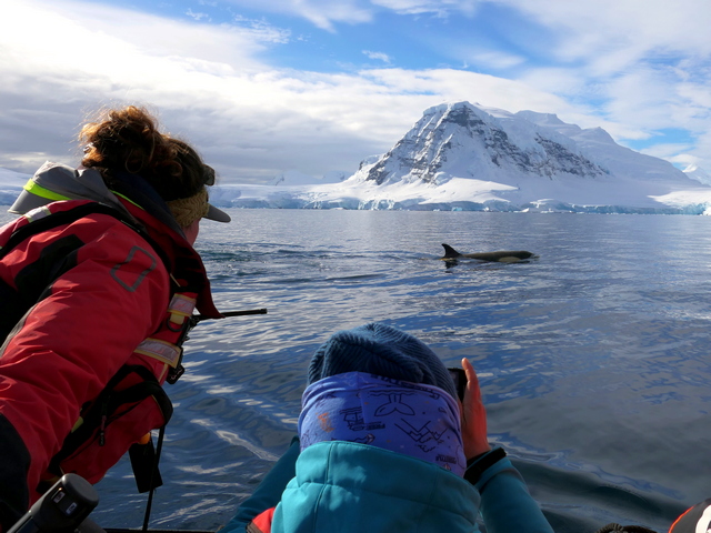 two people on a small whale watching zodiac with an orca and big antarctic peaks visible behind them