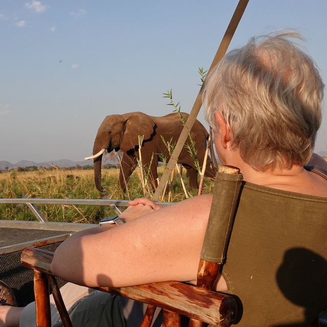 An elephant walks right in front of a guest during a river cruise on a luxury safari in Lower Zambezi National Park Zambia on a luxury safari