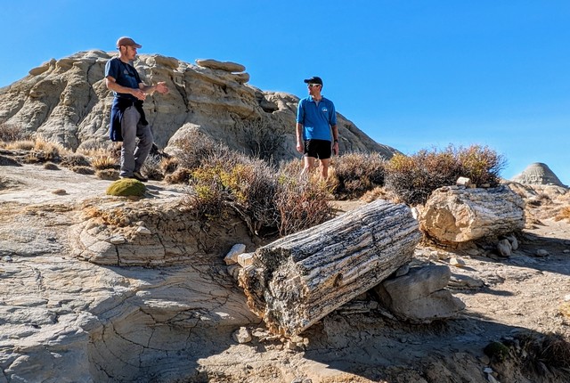 Two men standing next to two two petrified wooden logs found in a petrified forest hike near Calafate Argentina in Patagonia