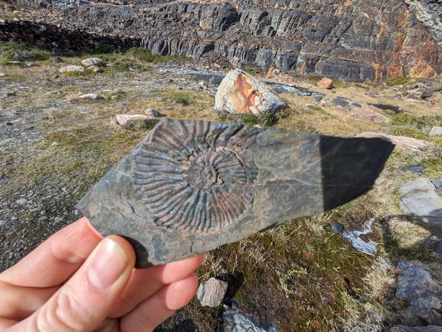 Someone holding a small marine fossil found in the Fossil Canyon hike of Estancia Cristina near Lago Argentina in Patagonia
