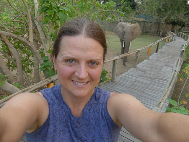 Selfie of a woman on a boardwalk at Anabezi Camp in the Lower Zambezi, with a massive elephant standing just behind her