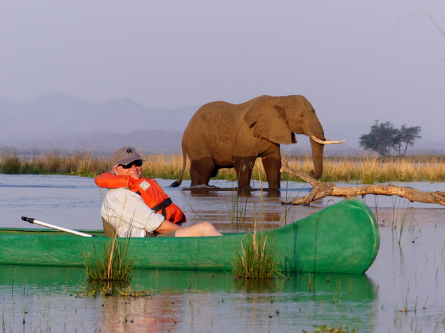 A smiling guest in a canoe with a huge elephant in the background while on a luxury safari at Anabezi Camp in the Lower Zambezi, Zambia