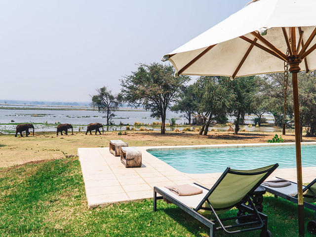 Elephants seen just past the edge of the pool area at Anabezi Camp, a luxury safari camp in the Lower Zambezi of Zambia