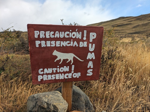 sign warning of the presence of pumas in Torres Del Paine National Park Chile Patagonia