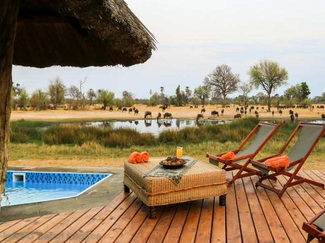 The pool area overlooking a water hole full of elephants at a luxury safari camp in Hwange National Park Zimbabwe