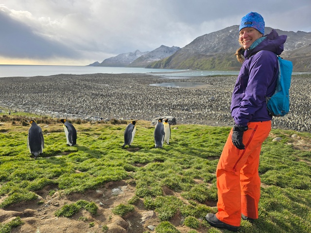 a woman standing near several king penguins smiles, set against a backdrop showing hundreds of thousands of king penguins at St Andrews Bay South Georgia Island