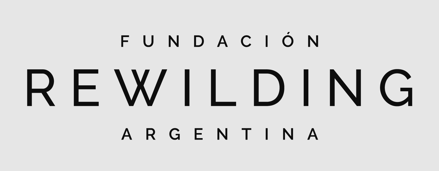 Rewilding Argentina